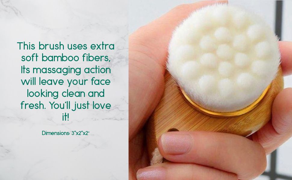 547669801